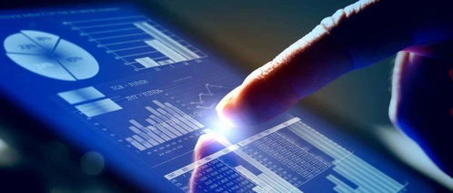 楊德龍 上半年我國經濟探底回升，下半年有望繼續復蘇，信息技術咨詢服務前景廣闊